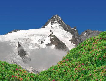 Grossglockner im Nationalpark Hohe Tauern © Vaclav Volrab-shutterstock.com/2013