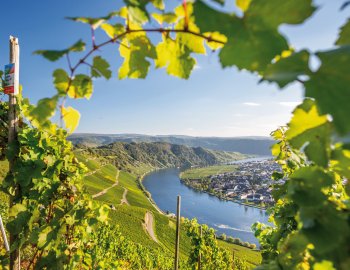 Mosel-Panorama © mh90photo-stock.adobe.com