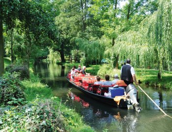 Kahnfahrt im Spreewald © Henry Czauderna - stock.adobe.com
