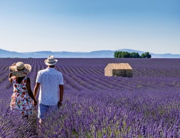 Spaziergang durch Lavendelfelder © Fokke Baarssen - stock.adobe.com