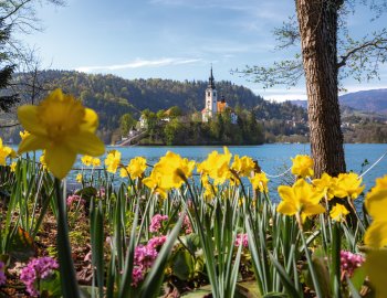Bleder Insel im Frühling © www.bled.si/Jošt Gantar
