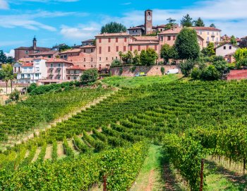 Blick auf Neive &copy; monticellllo - stock.adobe.com