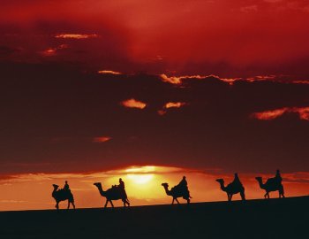 Kamelkarawane in Sonnenuntergang © Tunesia National Tourist Office