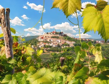 Blick auf Motovun © e_polischuk - stock.adobe.com