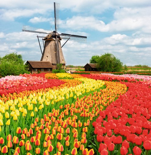  &copy; neirfy - stock.adobe.com